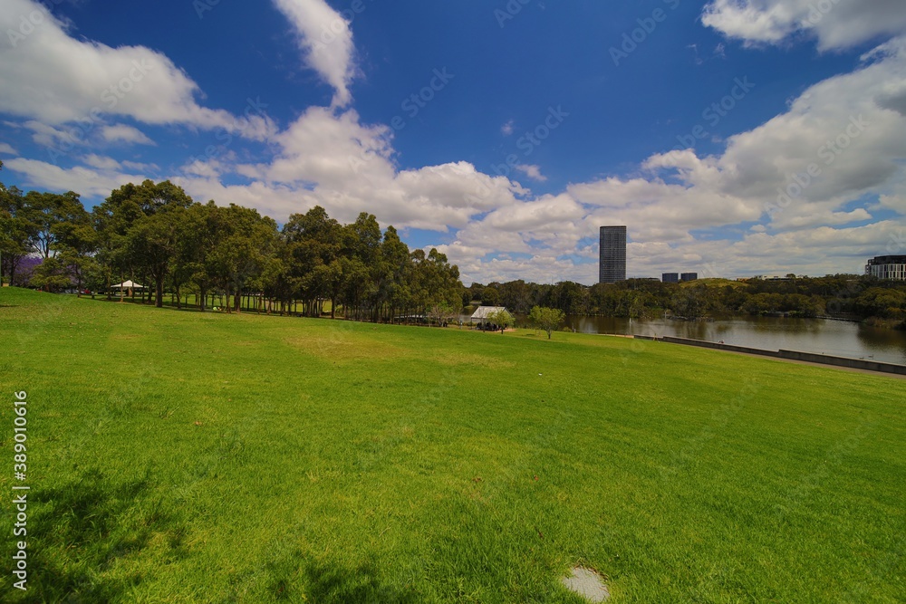 Colourful green park in Sydney with a large pond and apartment towers in the background 