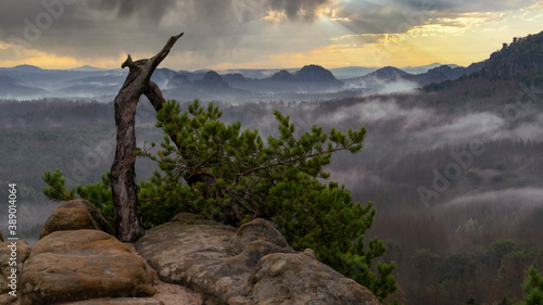 Panoramablick in den Morgenstunden von den Affensteinen zum Kleinen Winterberg. Die Sonne schickt ihre ersten w  rmenden Strahlen durch den dichten Nebel in der Bergwelt des Nationalparkes S  chsische S