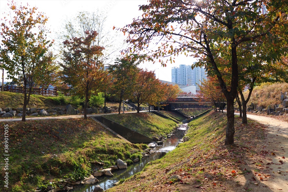 park park