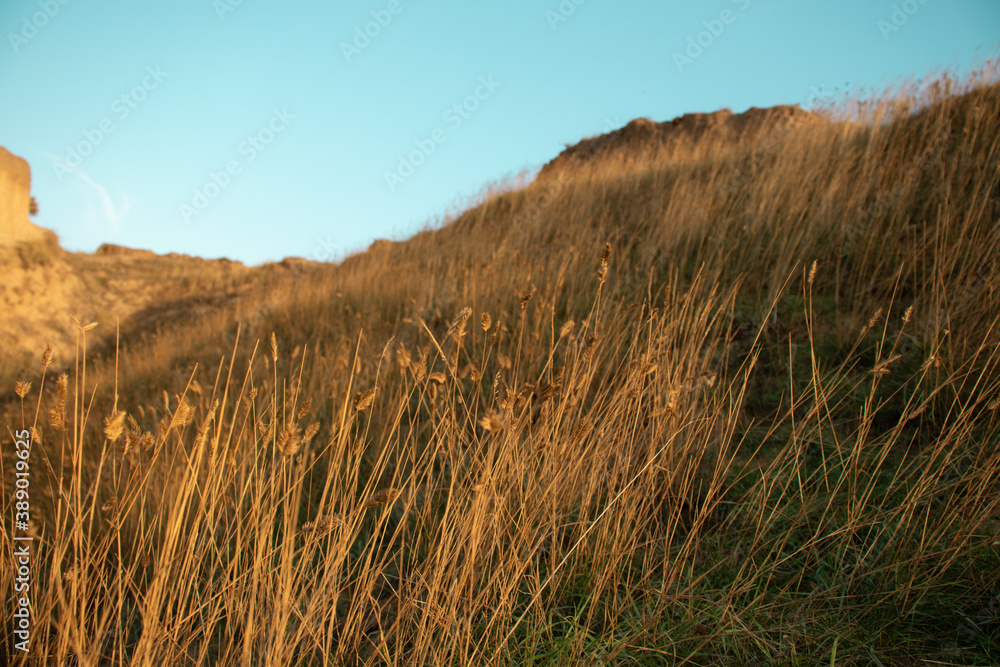 Dry grass in the steppe with hills and canyons, photo. Nature, wildlife and landscape, photo