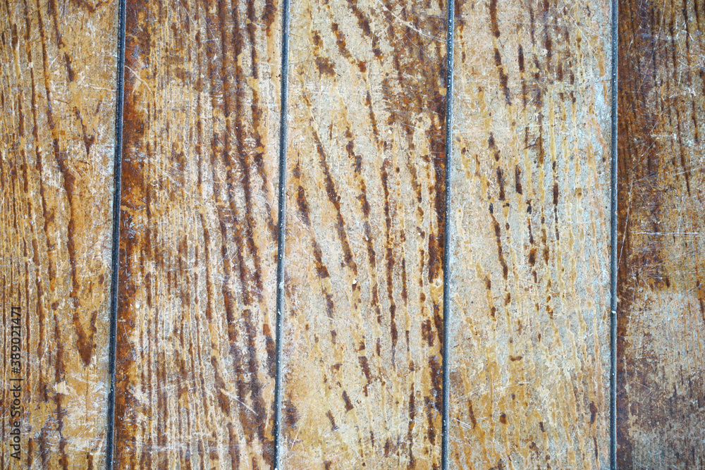 Obraz premium Tree bark background. Wooden texture for overlay.