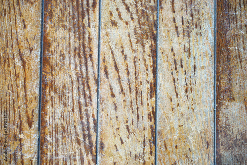 Tree bark background. Wooden texture for overlay. © HEMINXYLAN