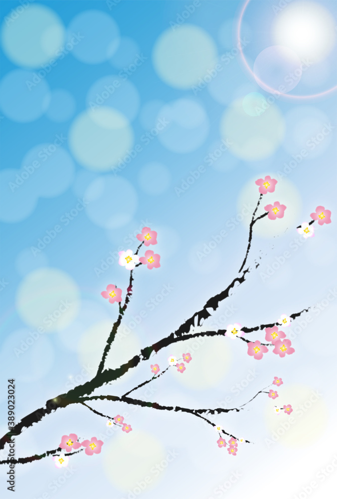 冬の景色　梅の咲く空