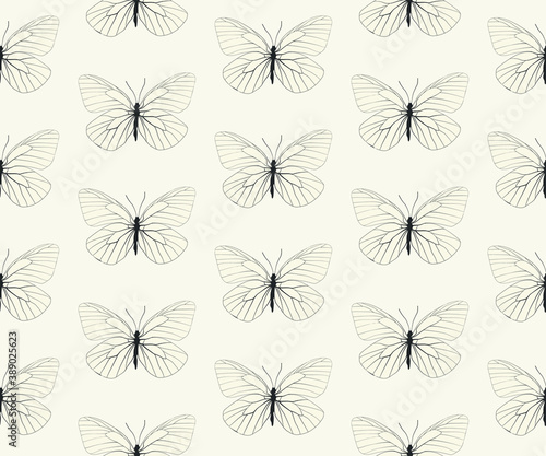 Seamless vector butterflies pattern. Butterfly print. Trendy animal motif wallpaper. Fashionable background for fabric, textile, design, banner, cover, web etc. © Fidan.Stock