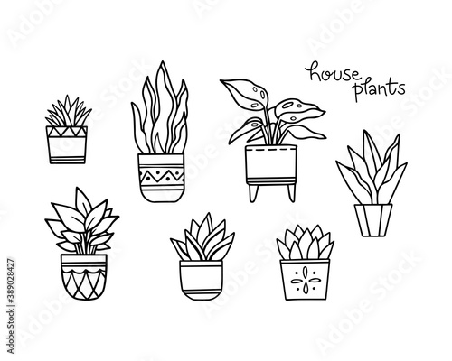 House plants doodle elements set isolated on white background. Hand-drawn outline plants in pots with lettering phrase. Botanical design for card, poster, logo or pattern.