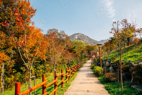 Bukhansan mountain trail road at autumn in Seoul, Korea