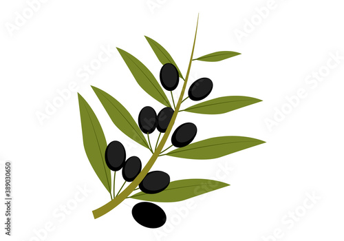 Rama de olivo con aceitunas negras.