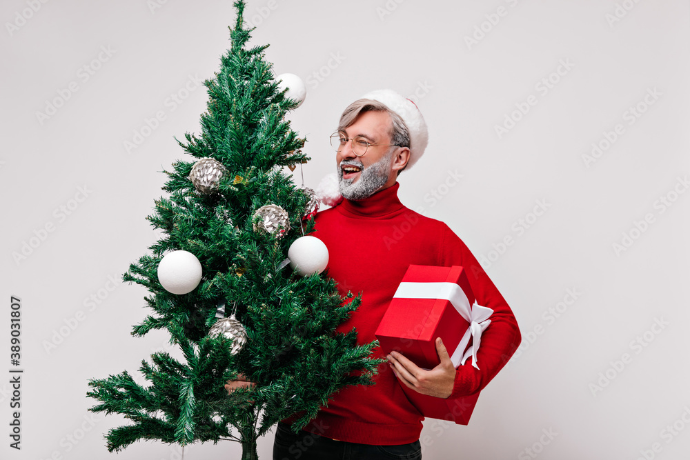 Blissful old man holding green christmas tree. Studio photo of blithesome santa claus with new year present. Blissful old man holding green christmas tree. Studio photo of blithesome santa claus with new year present.