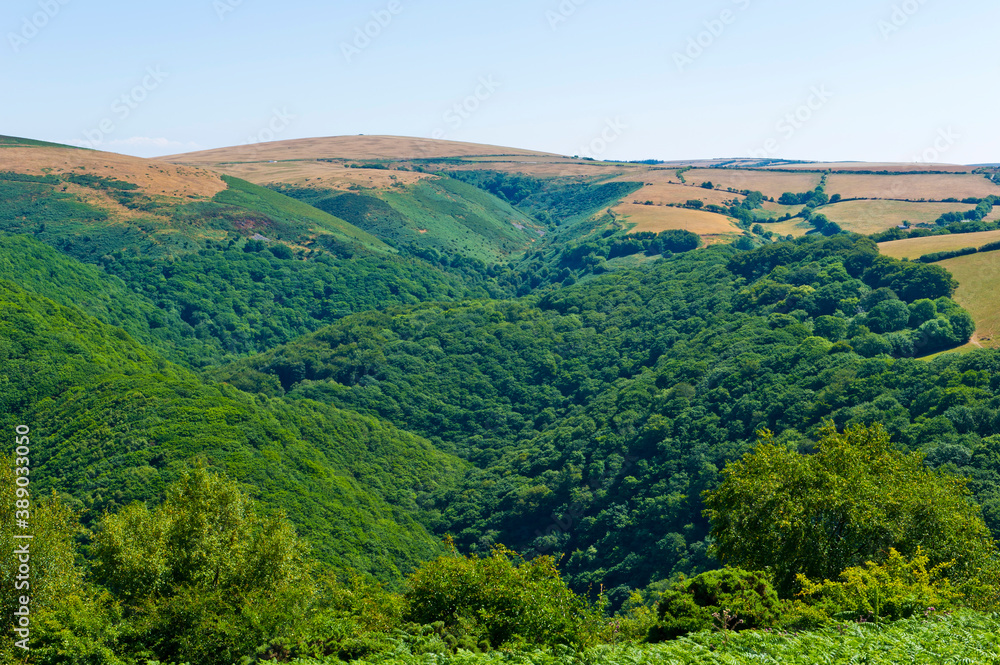 Exmoor and East Lyn river, near Lynmouth, Devon