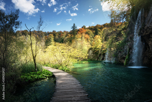 Waterfall in forest   Plitvice  Croatia