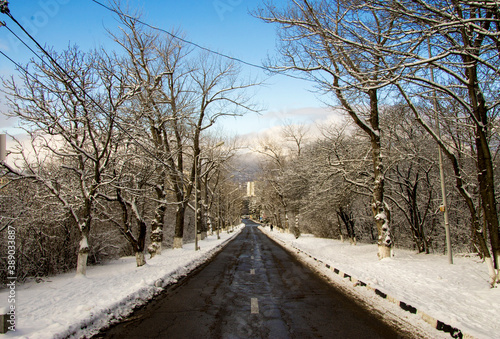 Winter road of black asphalt with snowy trees aside leading down © scullery