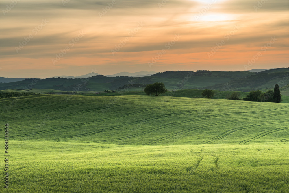 tuscany lanscape, sunset time, Italy tuscany lanscape, sunset time, Italy