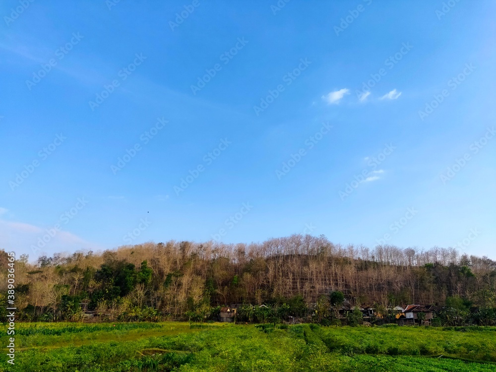 mountains, greenery, fruit, vegetables, ewe sky mountains, greenery, fruit, vegetables, ewe sky