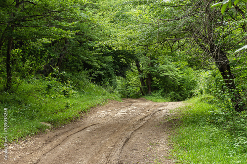 Fototapeta Naklejka Na Ścianę i Meble -  Forest dirt road on a stone base on a summer day in dry weather.