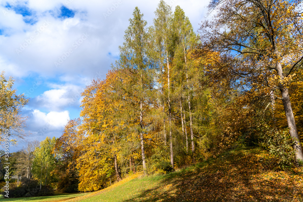 Herbstlicher Park in Thüringen