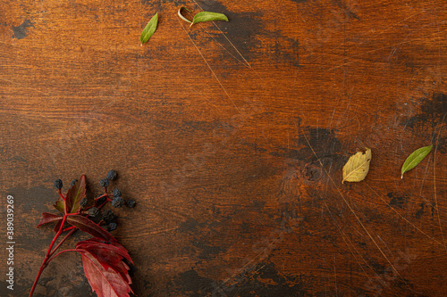 autumn season dark wooden background with leaves and berries, copy space
