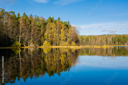 Fototapeta Naklejka Na Ścianę i Meble -  Autumn view of Liesjarvi National Park and Lake, Tammela, Finland