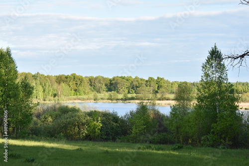 Fototapeta Naklejka Na Ścianę i Meble -  small lake surrounded by forest