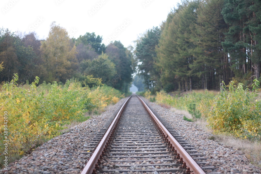 Eisenbahnschien in Herbst