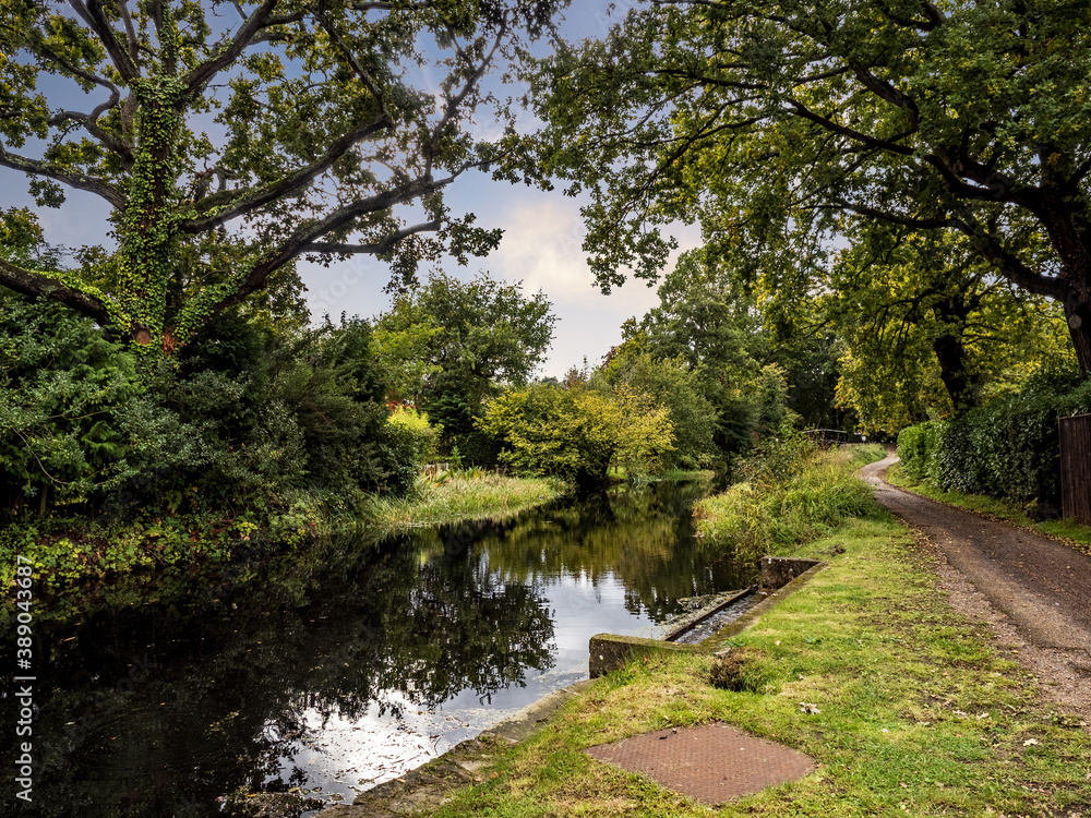 WALKING BY THE WATERWAYS IN SURREY ENGLAND WALKING BY THE WATERWAYS IN SURREY ENGLAND