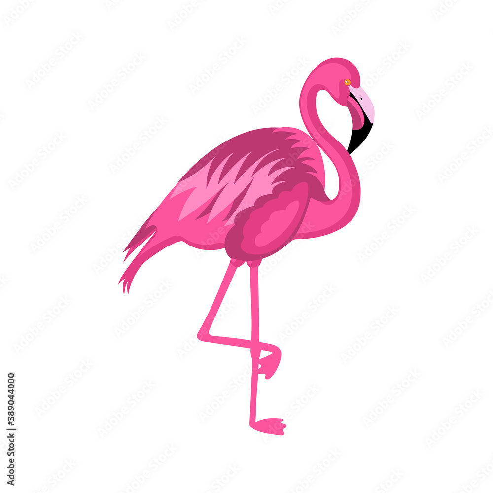 Cute pink flamingo isolated on white background vector illustration Cute pink flamingo isolated on white background vector illustration