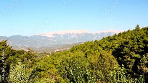 Forest in the background of the Taurus mountains