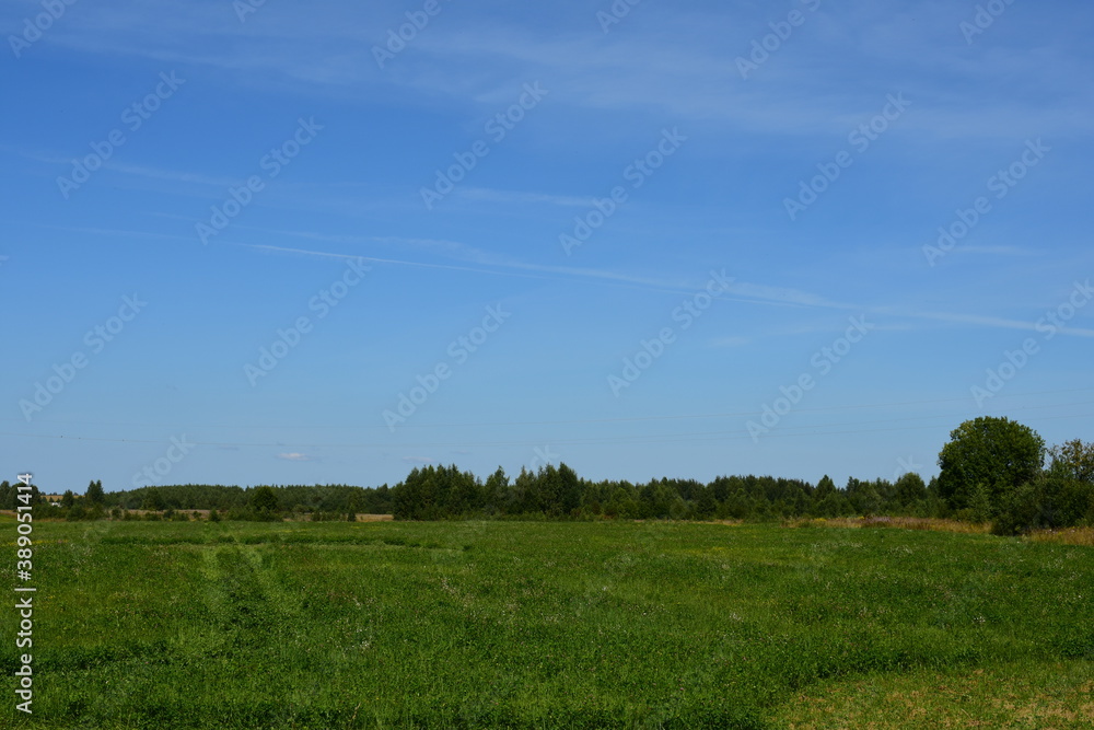 field and blue sky