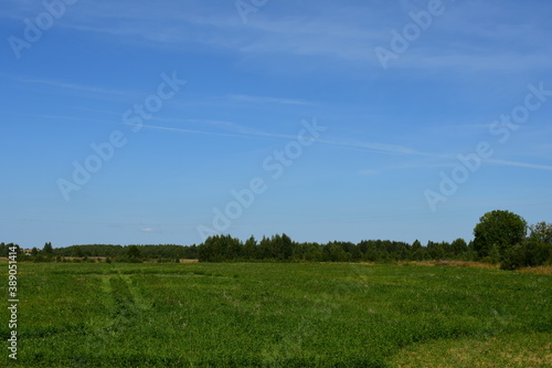 field and blue sky