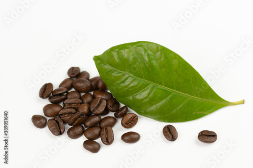 Coffee tree leaves and coffee seeds