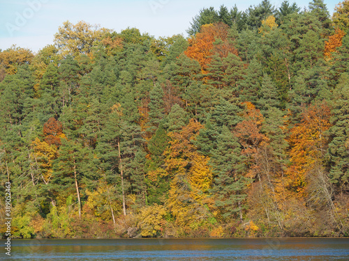 arbres aux couleurs automnales au bord du Rhin