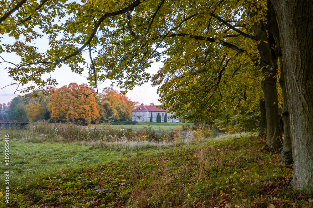 Obraz premium Autumn trees alley with colorful leaves in the park