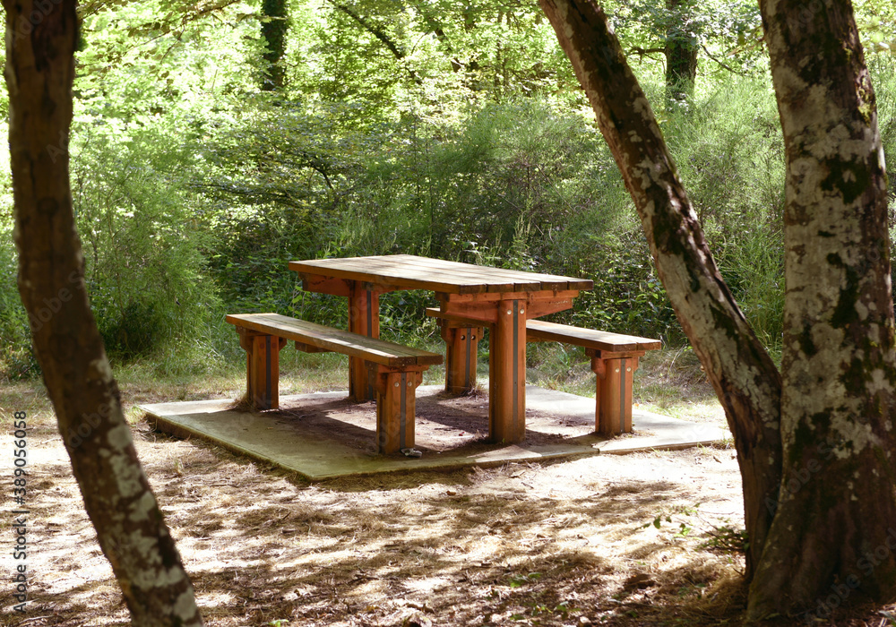 Table pique nique forêt de Bouconne Haute Garonne France Table pique nique forêt de Bouconne Haute Garonne France