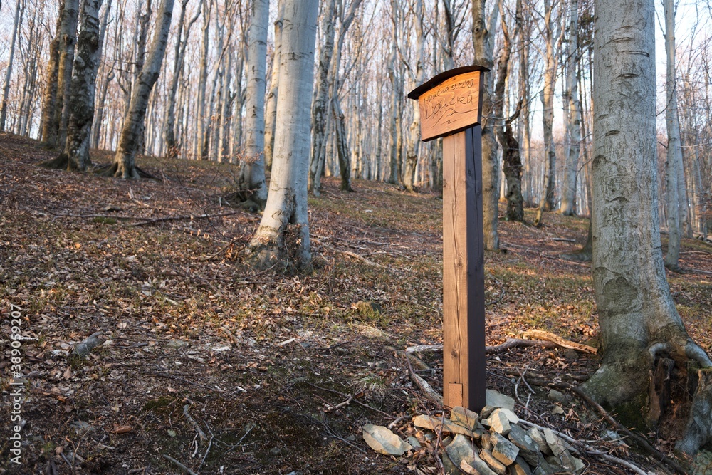 Wooden sign for tourists on nature trail in forest near Loucka, Beskydy, moravian-silesian region, Czech republic, Europe. Wooden sign for tourists on nature trail in forest near Loucka, Beskydy, moravian-silesian region, Czech republic, Europe.