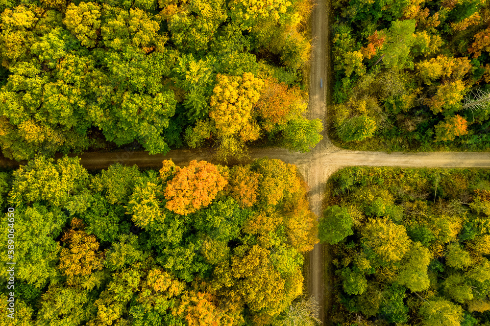 Crossing a forest looks like a natural flag, drone shot in autumn straight from above.