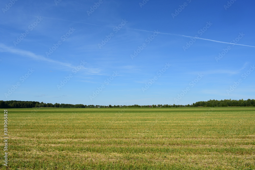 field and blue sky