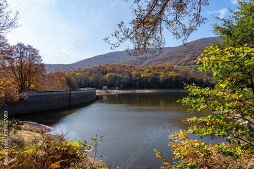 Montseny deep forest colorful autumn in Catalonia, Spain. photo