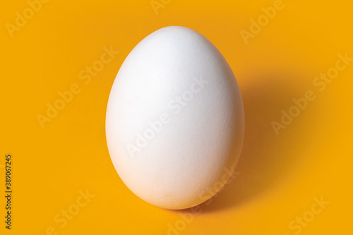 Chicken egg isolated on yellow background