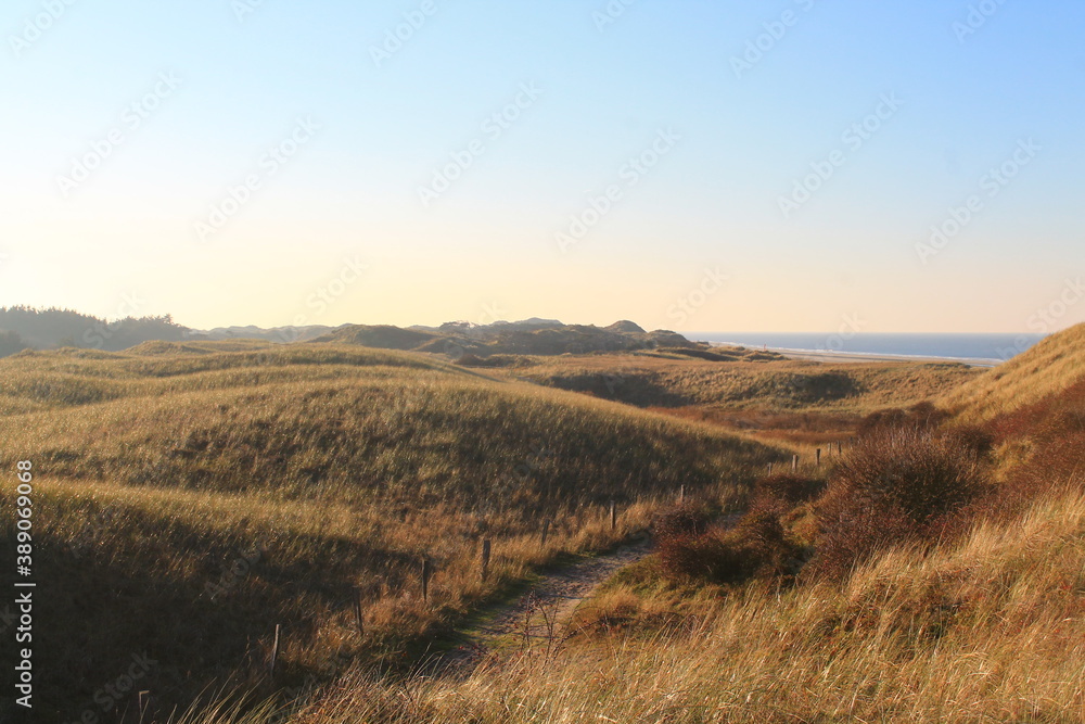 Fototapeta premium Juist, East Frisian Island, ostfriesische Insel, dunes in wintertime