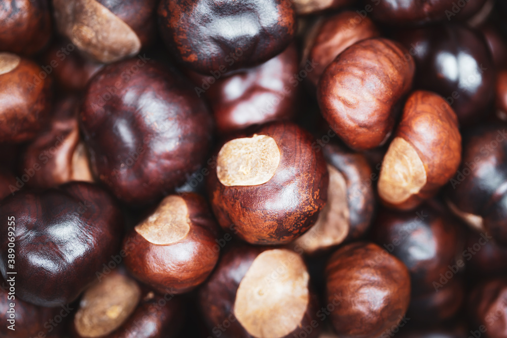 Ripe chestnuts close up. Food background. Top view. Selective focus Ripe chestnuts close up. Food background. Top view. Selective focus