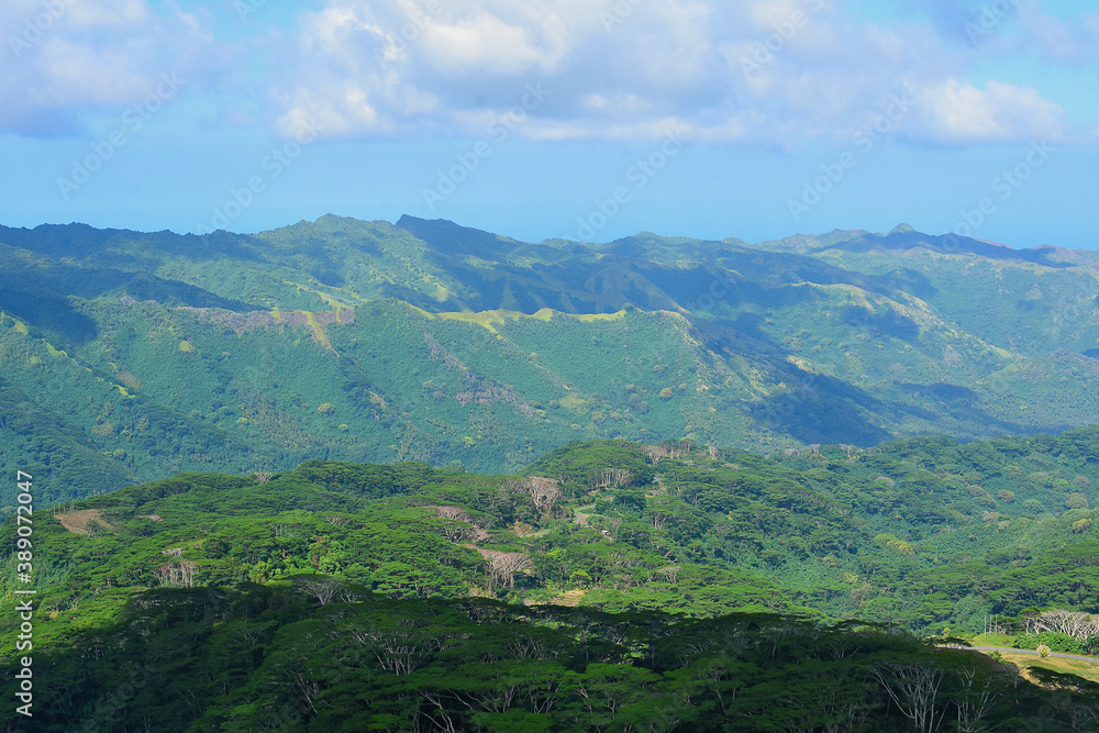 Fototapeta premium montagne de Nuku Hiva, ile marquises, polynesie francaise
