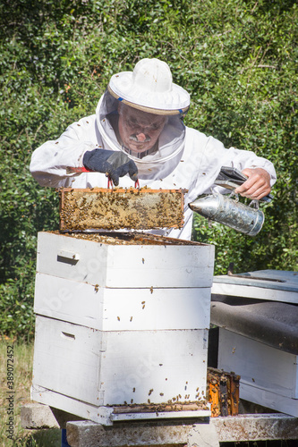 apicultor con traje sacando miel de colmena 