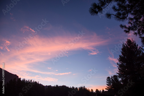 silueta negra de bosque y arboles con cielo colorido en atardecer