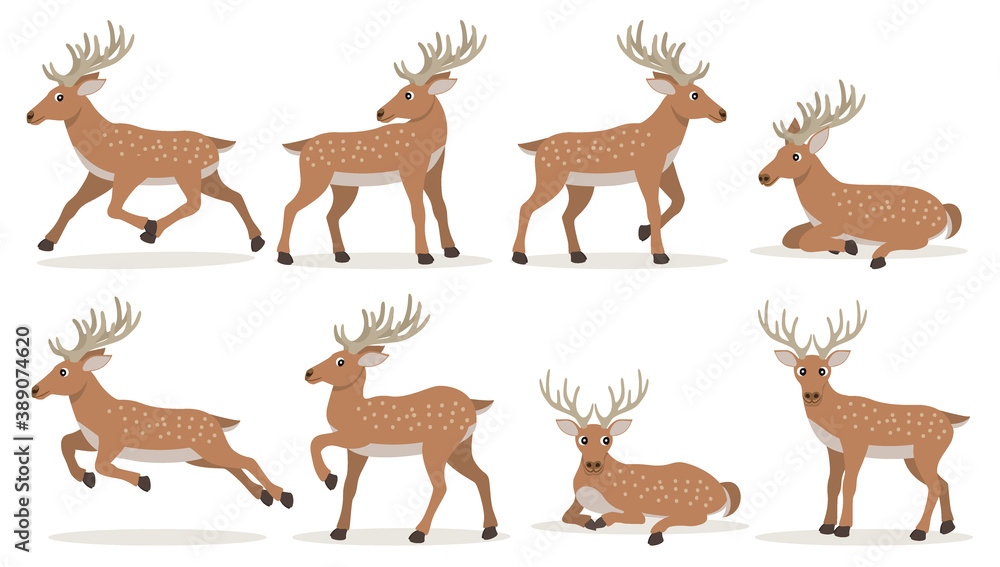 Set of cute cartoon deer with long horns, forest animals, vector illustration isolated on white background Set of cute cartoon deer with long horns, forest animals, vector illustration isolated on white background
