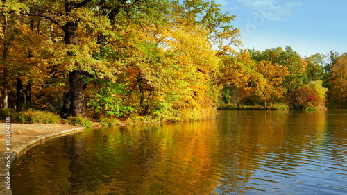 See im Park umgeben von buntem sonnigem Herbstwald 