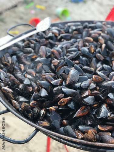 
Mussels