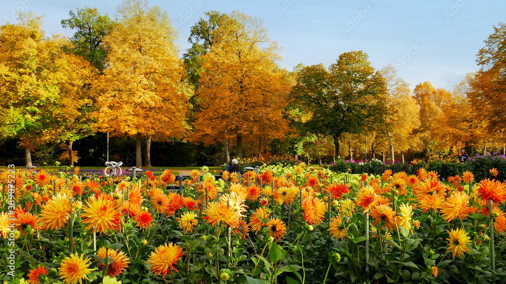 Naklejka premium schöner Park mit gelbem Herbstlaub und bunten Blumen