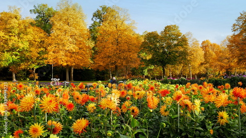 schöner Park mit gelbem Herbstlaub und bunten Blumen