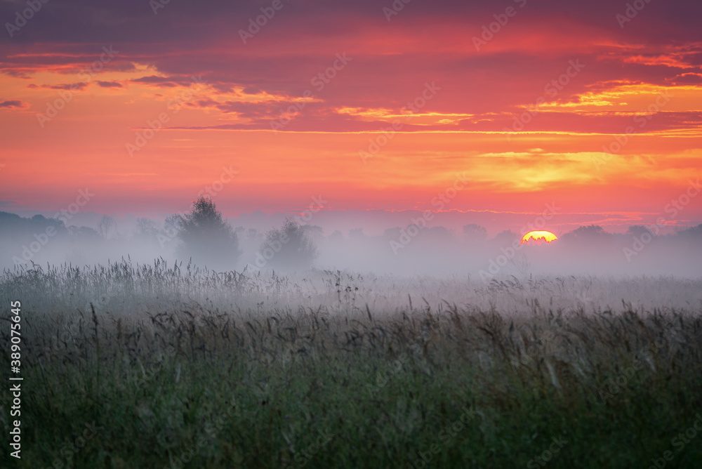 Obraz premium Sunrise over the meadow in the morning fog. Morning sunrise. Conditions of poor visibility. Natural landscape. Weather. Synoptic. Weather forecast