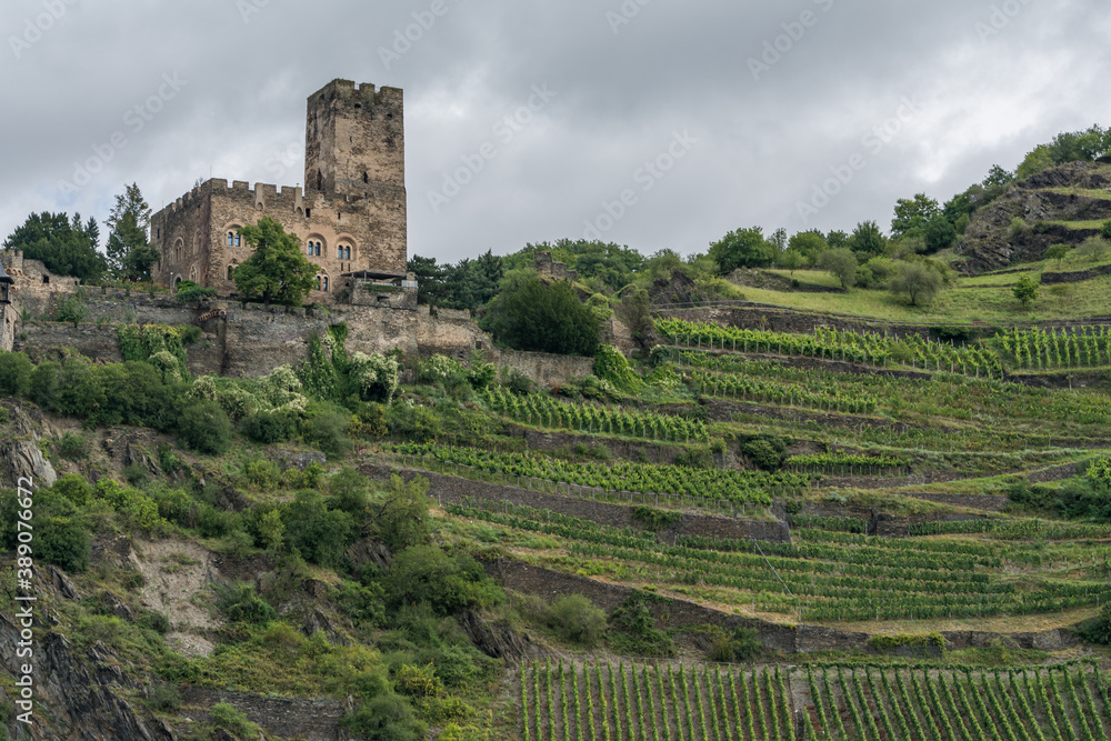 Castle and Vineyards