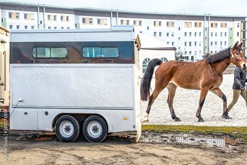  Auto trailer for transportation of horses . Horse vehicle . Carriage for horses . 